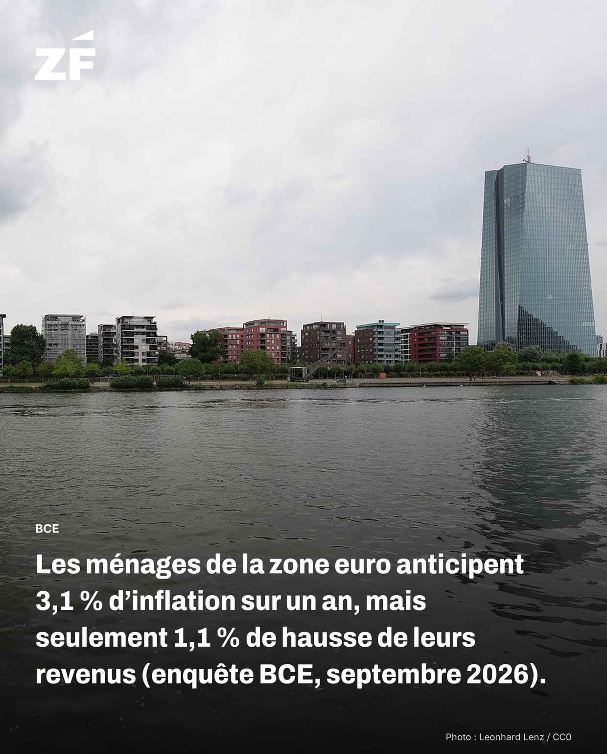 Ze Finance fact card: Employment & society