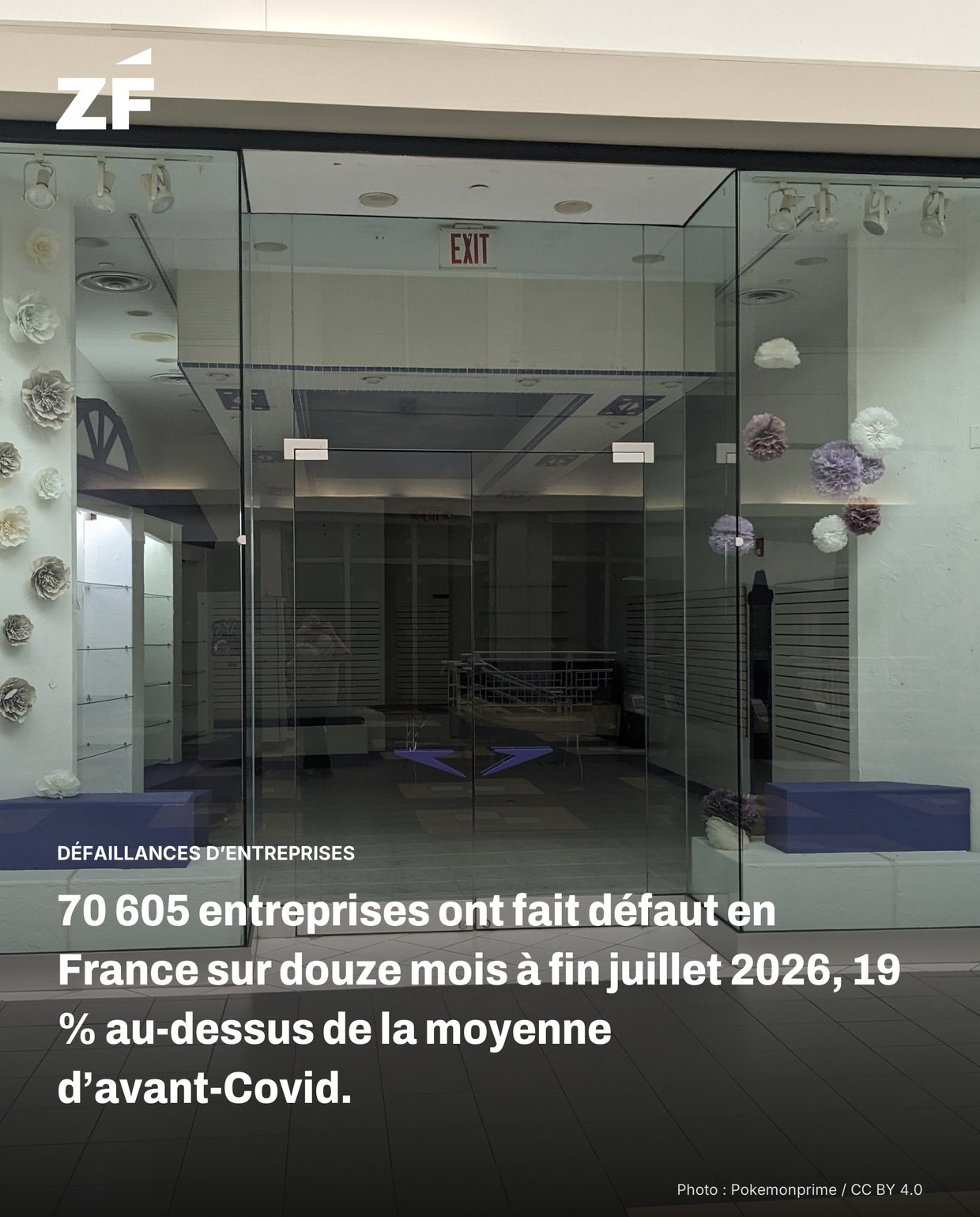Fact card Ze Finance : Finance d’entreprise & business